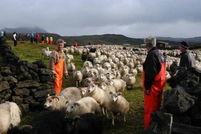 Réttir